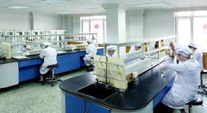 豪華賽皇宮，藥價為何高？——透視哈藥六廠事件中的網絡技術與輿論影響