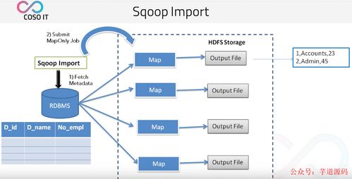 八款主流數據遷移工具技術選型解析，助力數據處理技術開發